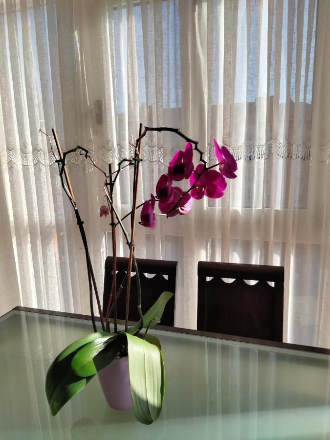 Apartment Gran Familia